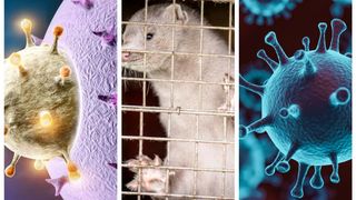 VIDEO | Mutaţie periculoasă a noului coronavirus