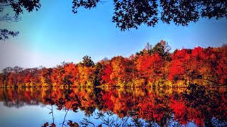 Prognoza meteo, 9 noiembrie. Vreme destul de caldă pentru această perioadă şi ceață densă în toată ţara