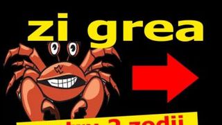 Horoscop 10 noiembrie 2020:  O zi de coșmar și  noi provocări pentru aceste zodii