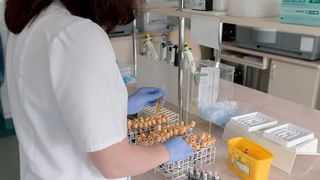 oameni au murit de coronavirus