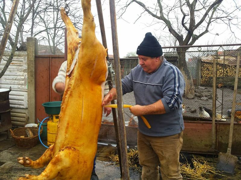Când se taie porcul de Crăciun 2020? 