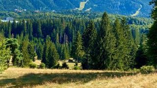 Restaurantele și cafenelele se vor închide în Sinaia și Azuga