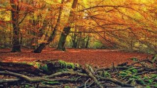 Prognoza meteo, 18 noiembrie. Vor fi ploi în sudul și estul țării