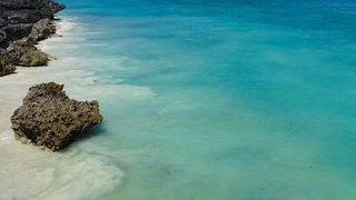 VIDEO - Ofertele de Revelion și de Crăciun, adaptate pandemiei