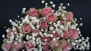 planul de afacere pentru florărie