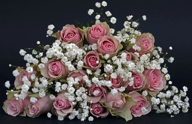 planul de afacere pentru florărie