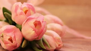 5 lucruri pe care trebuie să le știi dacă vrei să deschizi o florărie. Iată planul de afacere