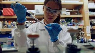 OMS, anunț important despre rezistența antimicrobiană