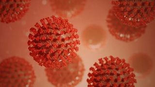 bilanț coronavirus 21 noiembrie