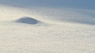 VIDEO| A venit iarna în România. Imagini cu primii fulgi de zăpadă