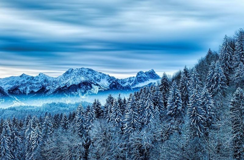 prima ninsoare în românia