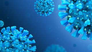 cazuri sibiu corpnavirus