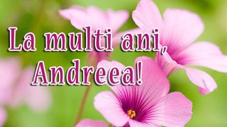 Mesaje de Sfantul Andrei 2020 - Felicitari de Sfantul Andrei 2020 - Urari de Sfantul Andrei 2020 - La multi ani Andrei - La multi ani Andreea