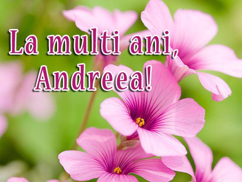 Mesaje de Sfantul Andrei 2020 - Felicitari de Sfantul Andrei 2020 - Urari de Sfantul Andrei 2020 - La multi ani Andrei - La multi ani Andreea
