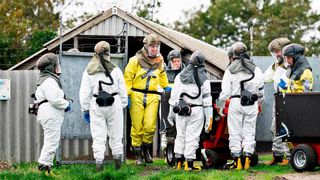 Prima țară din Europa de Est care a detectat coronavirus la nurci. Cât de mare e pericolul