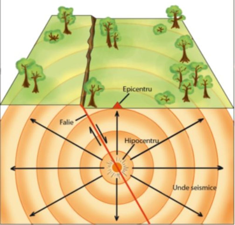 cutremur 25 noeimbrie 2020
