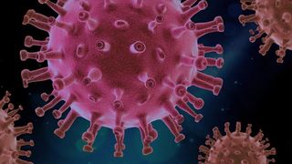 bilantul-coronavirus-25-noiembrie-2020