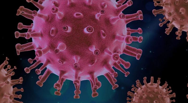 bilantul-coronavirus-25-noiembrie-2020