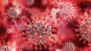 Bilanțul tragic al zilei: 9.739 de cazuri noi de infectare cu coronavirus în ultimele 24 de ore