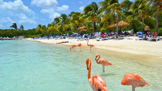 Cât ajunge să coste o vacanță pe Insula Aruba