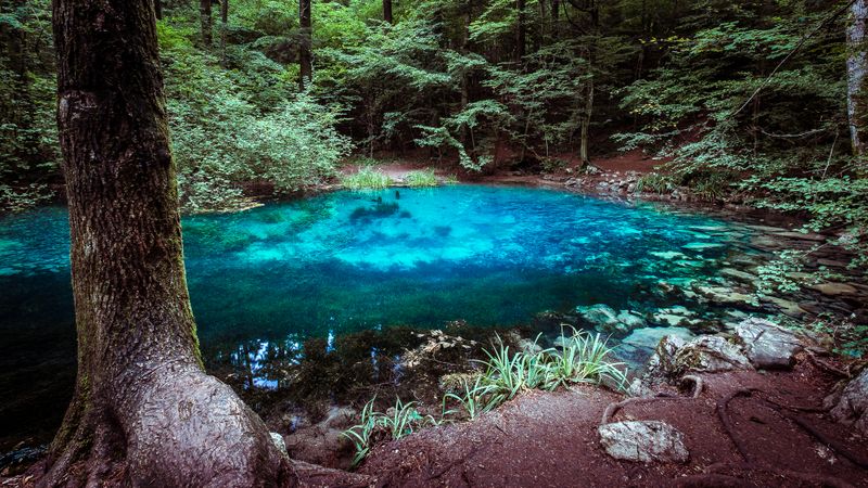 Top 10 cele mai frumoase lacuri din România