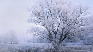 Prognoza meteo, azi 26 noiembrie 2020. Dimineață rece și ceață