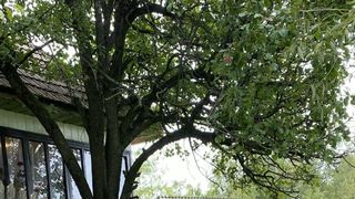 roventura s&acirc;mbătă de la ora 15