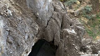 roventura s&acirc;mbătă de la ora 15