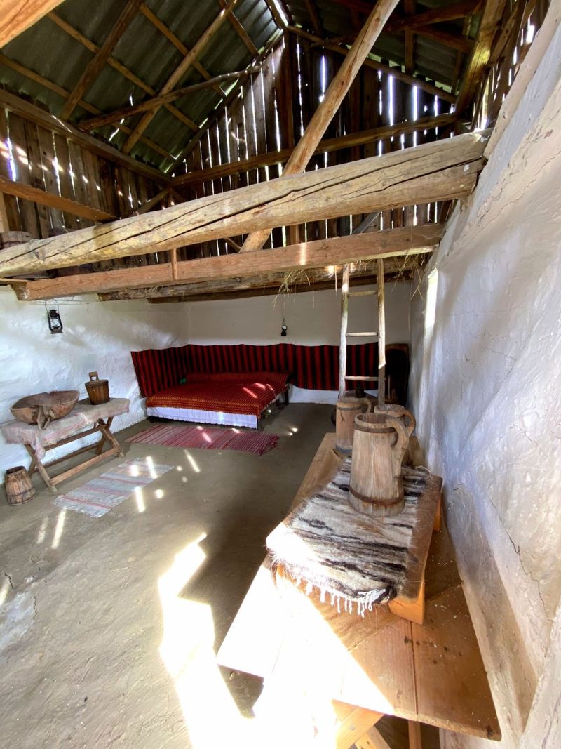 roventura sâmbătă de la ora 15