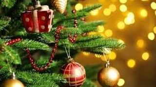 Sărbătorile de iarnă