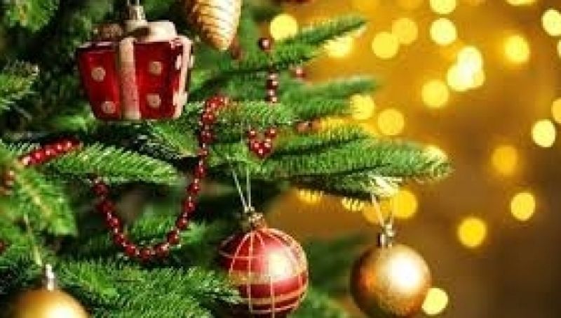 Sărbătorile de iarnă