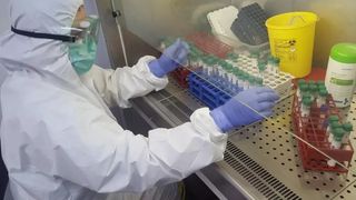 Cum arată, cât costă și de unde se poate cumpăra noul Orostim HV, tratamentul "minune" lansat de Institutul Cantacuzino. Românii stau la coadă, primul stoc epuizat