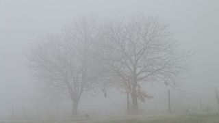 vreme bucuresti azi ceata si polei