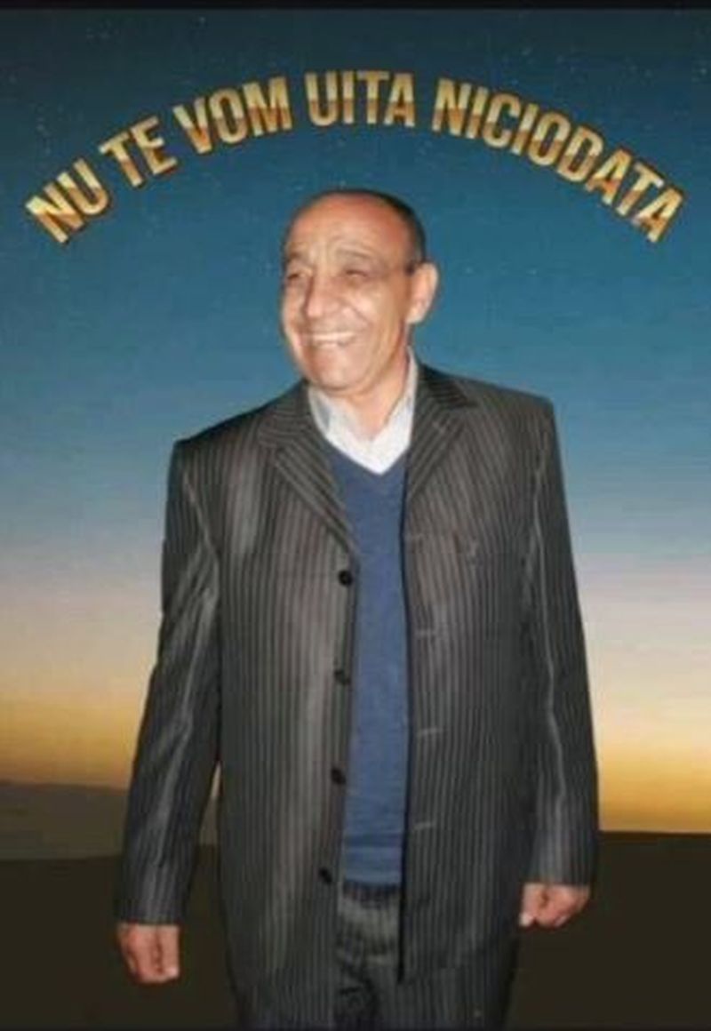 cine este nicolae duduianu