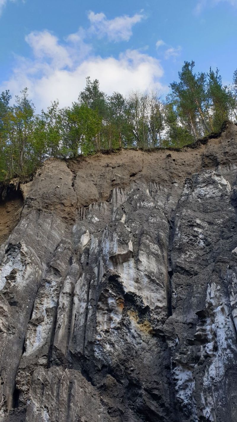sâmbătă roventura kanal d