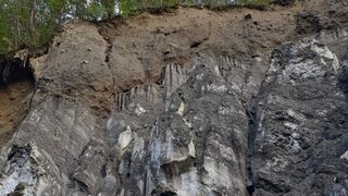 s&acirc;mbătă roventura kanal d