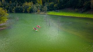 s&acirc;mbătă roventura kanal d