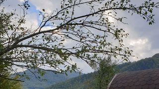 s&acirc;mbătă roventura kanal d