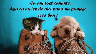 Mesaje în ajun de Moş Nicolae: Cele mai haioase urări, felicitări şi tradiţii