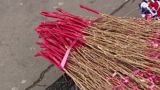 Nuielușa lui Moș Nicolae: Cea mai frumoasă poveste de Sfântul Nicolae