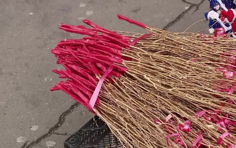 Nuielușa lui Moș Nicolae: Cea mai frumoasă poveste de Sfântul Nicolae