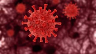 Coronavirus România 5 decembrie : 8.072 de cazuri noi de infectare în ultimele 24 de ore