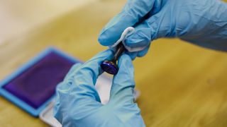 Alegeri parlamentare 2020. Câți români din diaspora au votat. Mesaj pentru românii de pretutindeni