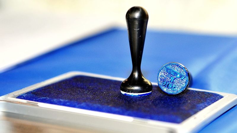 Rezultate partiale Alegeri parlamentare 2020