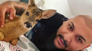 dani mocanu caprioara