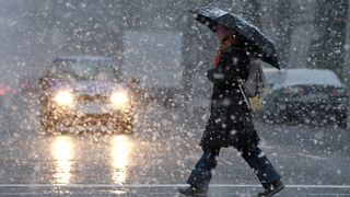 lapovita ninsori polei si ploi