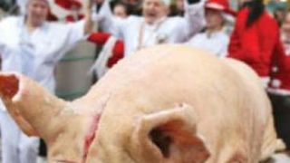 Tradiţii şi obiceiuri de Ignat 2020. Ce le este interzis rom&acirc;nilor &icirc;n ziua de 20 decembrie