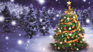 Sărbătorile de iarnă