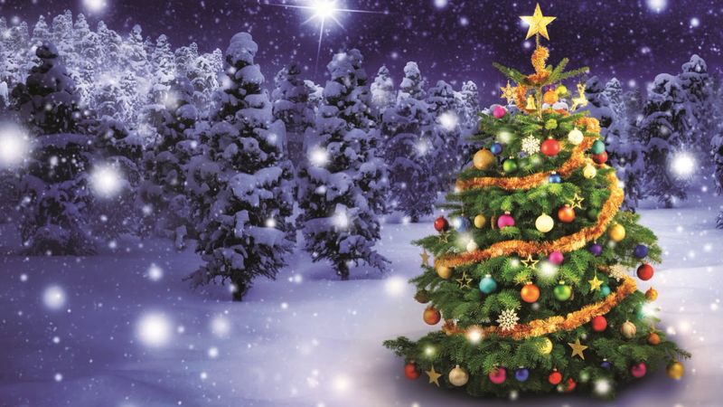 Sărbătorile de iarnă