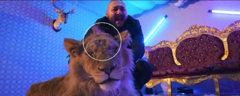 Scandalul Dani Mocanu continuă – manelistul recidivează